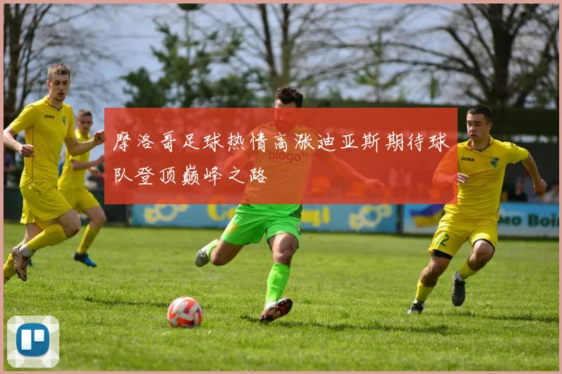摩洛哥足球热情高涨迪亚斯期待球队登顶巅峰之路