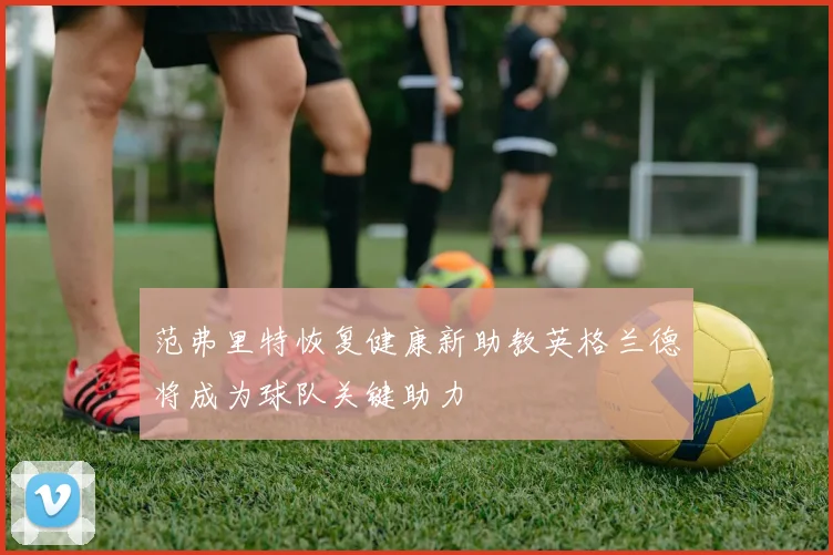 范弗里特恢复健康新助教英格兰德将成为球队关键助力